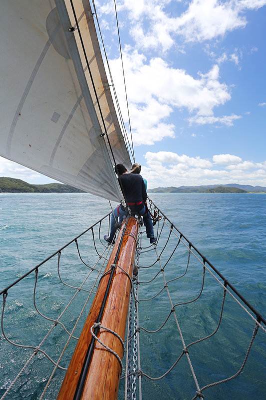 Sail on the R Tucker Thompson, Bay of Islands, NZ